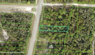 0 Treiman Blvd Unit 2253213, Webster, FL 33597