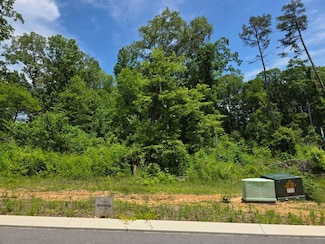 132 County Road 155, Riceville, TN 37370