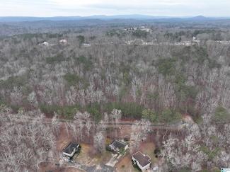 Lot 2 Henderson Rd Unit 2, Odenville, AL 35120