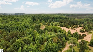 0 Cedar Creek Rd Unit 1933591, Fife Lake, MI 49633