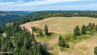 1605 Jasmine Ln Parcel 15, Weippe, ID 83553