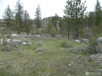 0 Tbd Six Gun Way, Tonasket, WA 98855