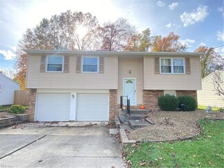 1006 Woodglen Ave, Newton Falls, OH 44444