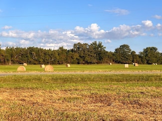 0 Highway 29, Luverne, AL 36049