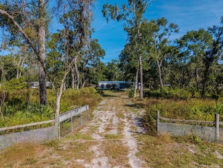 78 NE 542nd St, Old Town, FL 32680