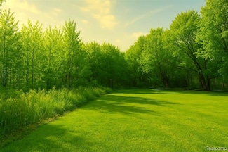 10.6 Acres Faulkner Faulkner Dr, Davison Township, MI 48423
