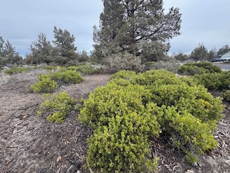 Unt 8-1 Lot 162 Woodside Rd Unit 8-1, Lake Shastina, CA 96094