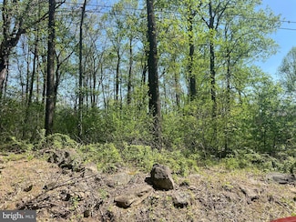 0 Ulysses Way, Linden, VA 22642
