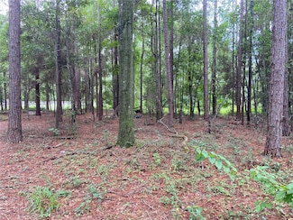 00 NW 257th Terrace, High Springs, FL 32643
