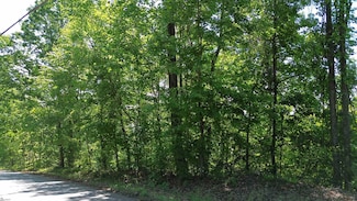 611 Packs Mountain Ridge Rd, Taylors, SC 29687