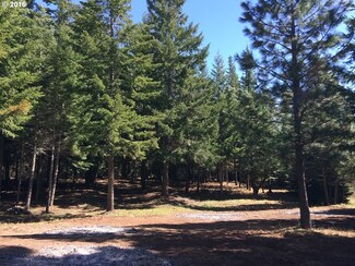 0 Mountain Pine Rd Unit 3 13486571, Lyle, WA 98635