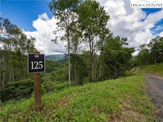 Lot 125 Tower Oaks Trail, Elk Park, NC 28622