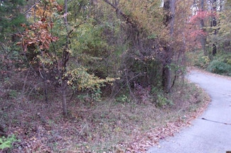 00 Flint Dr, Lakeview, AR 72642