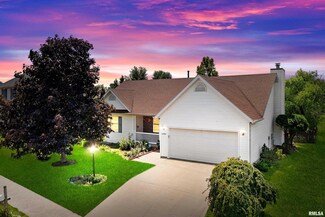 11705 N Brians Way, Dunlap, IL 61525