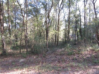3612 E Yandle Place, Inverness, FL 34453