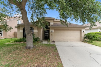24405 Summer Wind Ct, Lutz, FL 33559