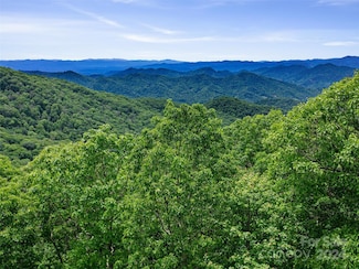 Lot 17 Old Growth Forest Rd, Price Creek, NC 28714