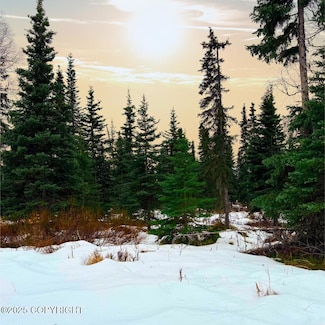 14374 Board St, Clam Gulch, AK 99568