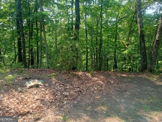 Lt 1227 Hilton Dr Unit 1227, Ranger, GA 30734