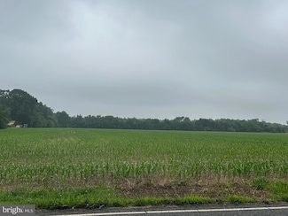 Block 703 Lot 2 Big Oak Rd, Bridgeton, NJ 08302