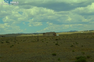 7341 Larimer Rd, Hartsel, CO 80449