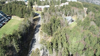 17 First Tracts Blvd, Snowshoe, WV 26209