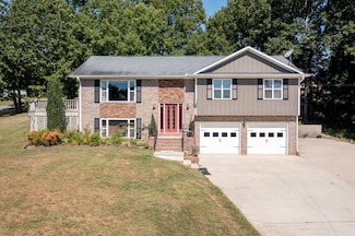 672 Toestring Cove Rd, Spring City, TN 37381