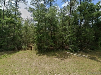 9648 N Centennial Point, Citrus Springs, FL 34434