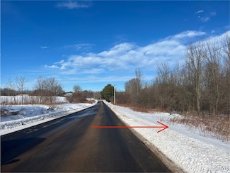 0 Hanley Rd, Fulton, NY 13069