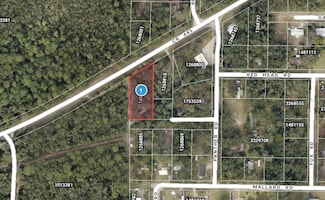 44748 Baldpate Rd, Altoona, FL 32702