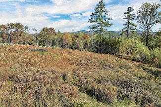 44 Williams Hill Rd, Grafton, NH 03240