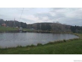 10389 Fritz Rd, West Valley, NY 14171