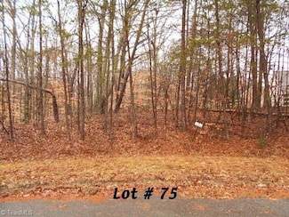 #75 Beaver Run, Eden, NC 27288