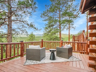 226 Bandit Ln, Bailey, CO 80421