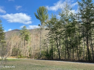0 Cougar Trail 3ac, Del Rio, TN 37727