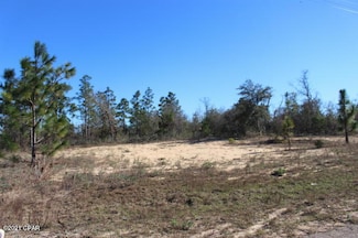 0 Alhambra Dr Unit Lot 5 767229, Chipley, FL 32428