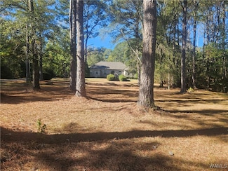 72 Deer Run Dr, Aliceville, AL 35442