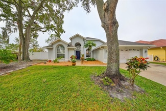 16402 Lake Heather Dr, Tampa, FL 33618