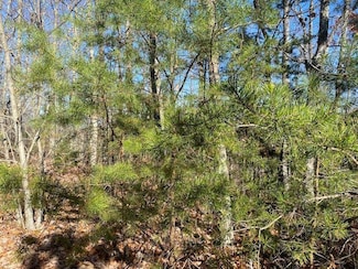 0 Lot 52 Butternut Ln Unit 241142, Sevierville, TN 37876