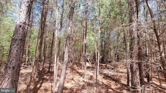 48560 Evergreen Park Rd, Lexington Park, MD 20653