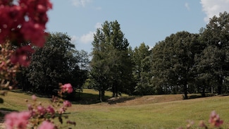 0 Ames Rd Unit 24319270, Hickory Valley, TN 38042