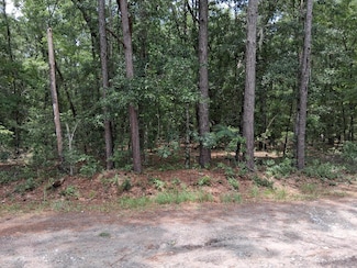 8070 Williford Rd, Jericho, SC 29426