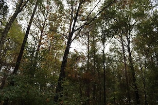 0 Poll Mill Rd, Tazewell, GA 31803