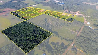 1134 County Road 613, New Brockton, AL 36351