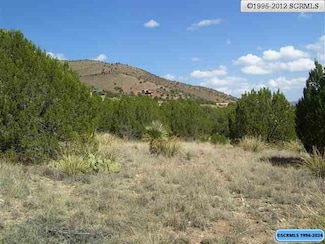 297 Caballo Blanco, Mimbres, NM 88041