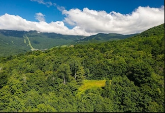 00 Robinson Springs Rd Unit 71, Stowe, VT 05672