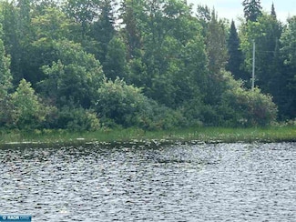 Hawk Isle, Tower, MN 55790