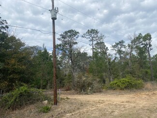 103 Roberto Ln, Florahome, FL 32140