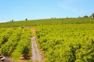 NNA Mize Summitview Extension Rd, Yakima, WA 98908