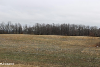 3 Como Trace Dr, Senatobia, MS 38668